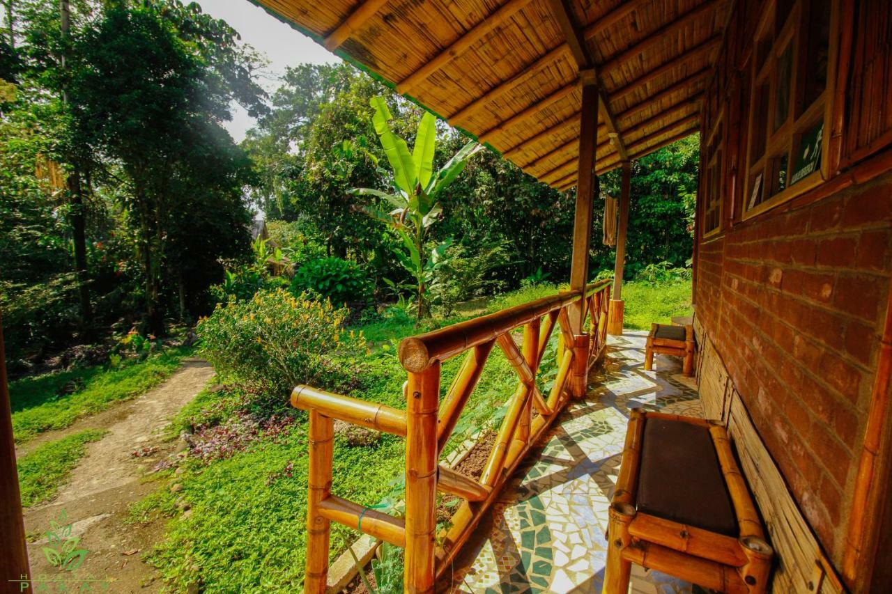 Hostal Pakay Тена Экстерьер фото