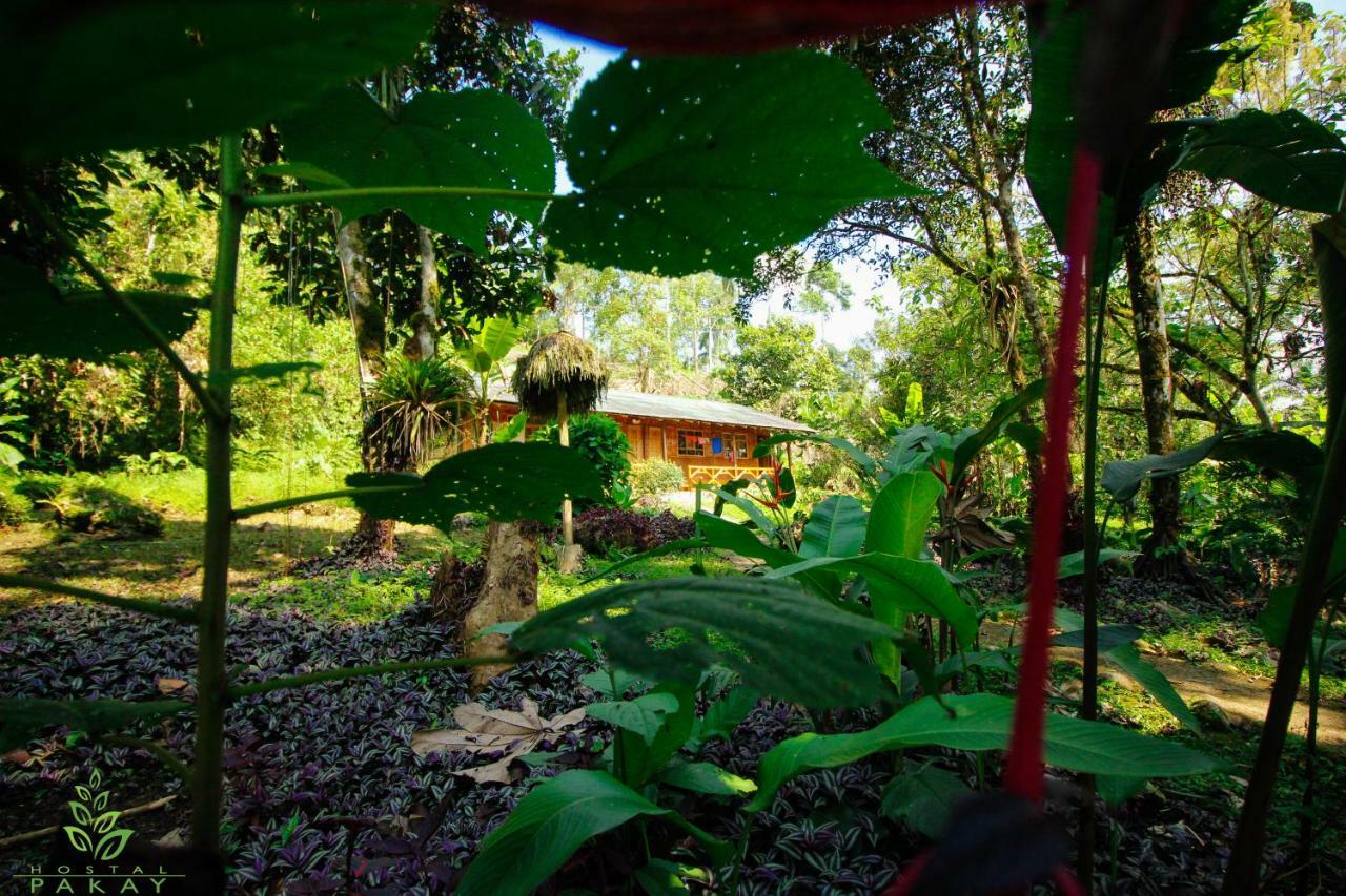Hostal Pakay Тена Экстерьер фото