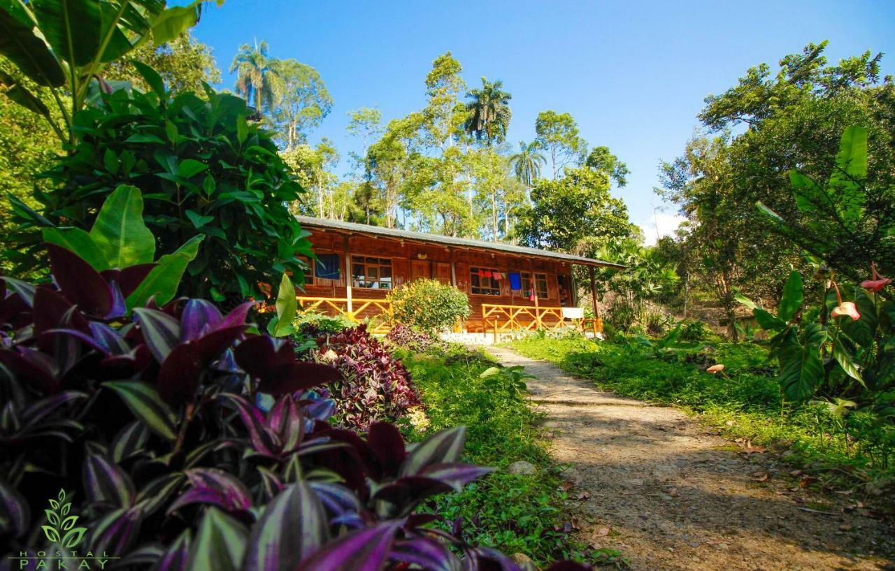 Hostal Pakay Тена Экстерьер фото
